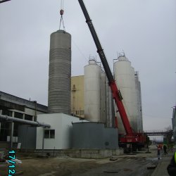 Picture 006
